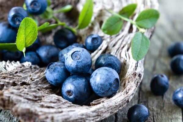 蓝莓干和蓝莓的营养价值一样吗
