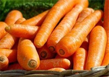 为什么说胡萝卜是有效的解毒食物