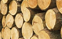 规范木材经营保护生态资源 农村创业网