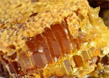 土蜂蜜和普通蜂蜜的区别 农村创业网