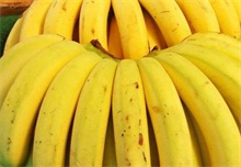 香蕉畅销 农民致富 农村创业网