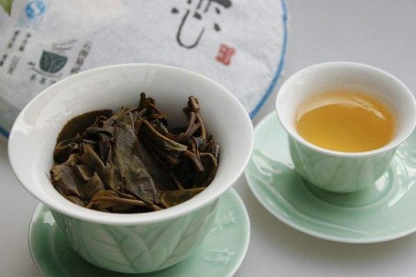 仙人掌茶市场价格多少钱一斤 仙人掌茶的功效与作用