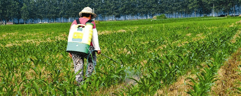 除草剂行情分析，市场有涨有降