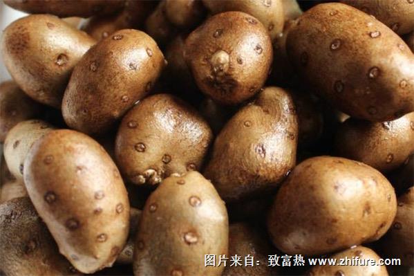 山药豆价格多少钱一斤