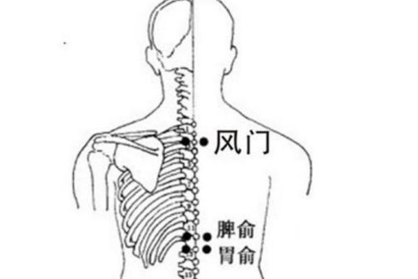 艾灸穴位图 艾灸的正确方法 艾灸的好处