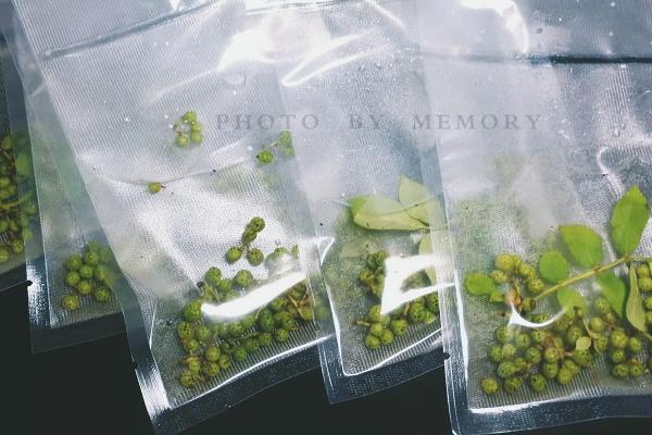 新鲜花椒怎么保存？