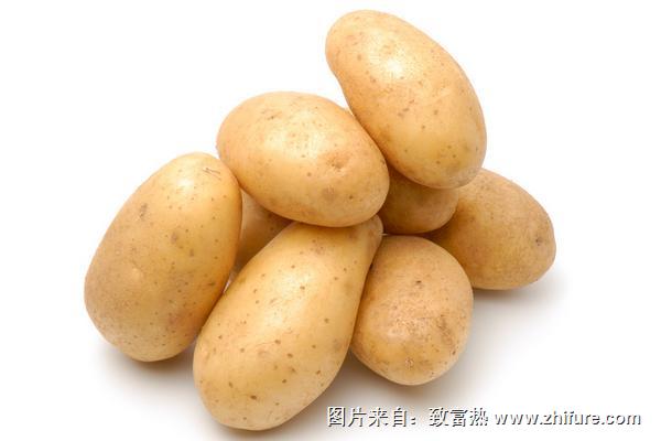 马铃薯是土豆还是红薯？