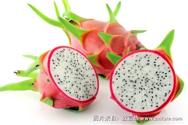 火龙果市场价格多少钱一斤