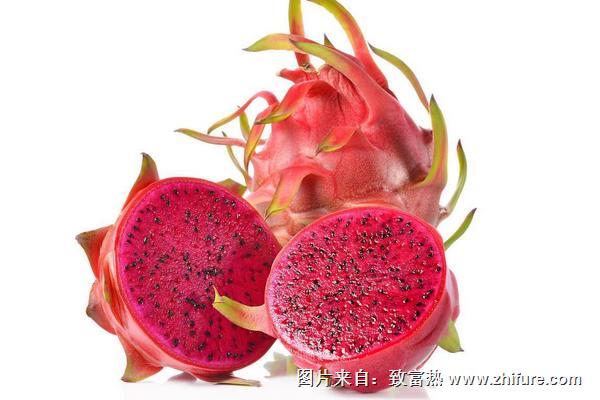 火龙果有几种颜色