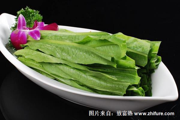 油麦菜可以生吃吗