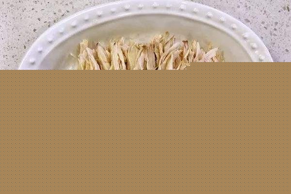 折耳猫耳朵不折怎么办 折耳猫吃什么猫粮最好