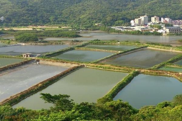 在农村建鱼塘要多少钱