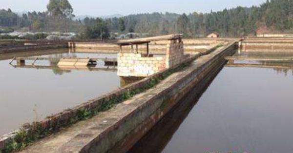 甲鱼养殖场建设