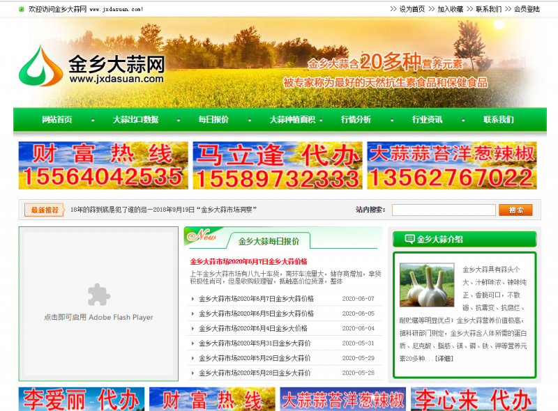 金乡大蒜网