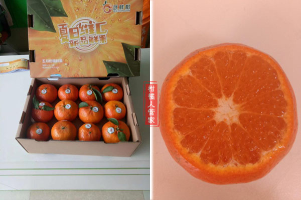 武鲜柑优点