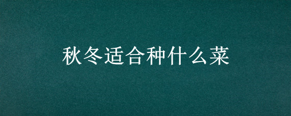 秋冬适合种什么菜