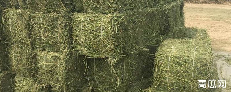 苜蓿草怎么烘干