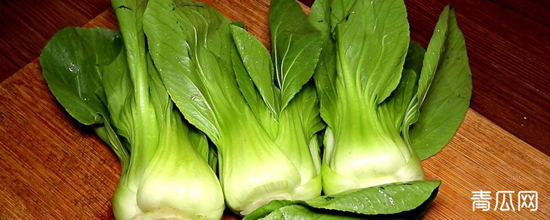 油菜是上海青吗