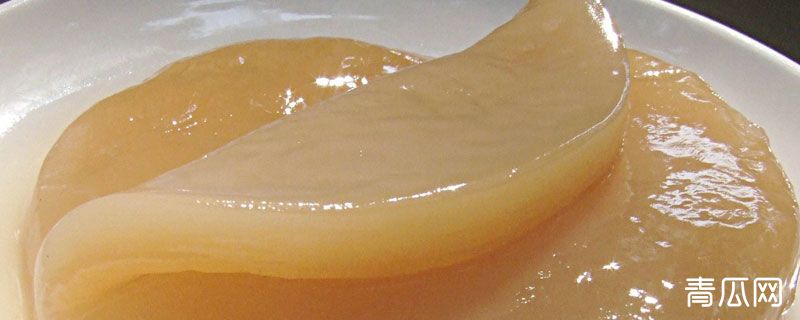 海宝菌怎样才培养成功