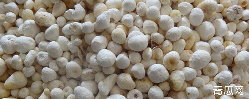 半夏法半夏姜半夏的区别