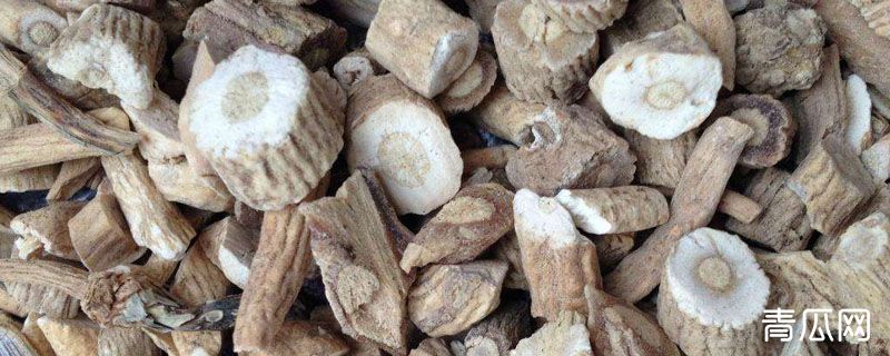 板蓝根和夏桑菊的区别