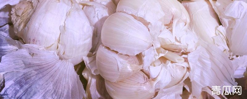 蒜皮可以做花肥吗