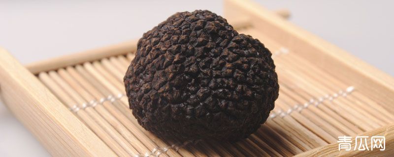 黑松露是什么