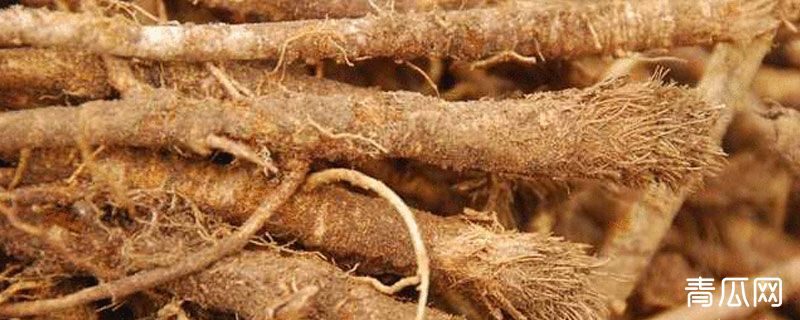 防风和防己的区别