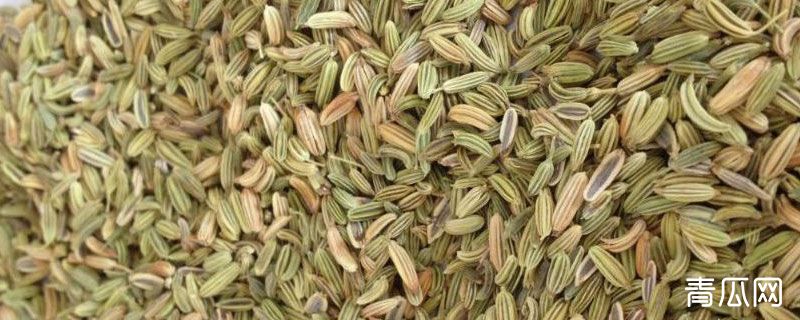 茴香和孜然的区别