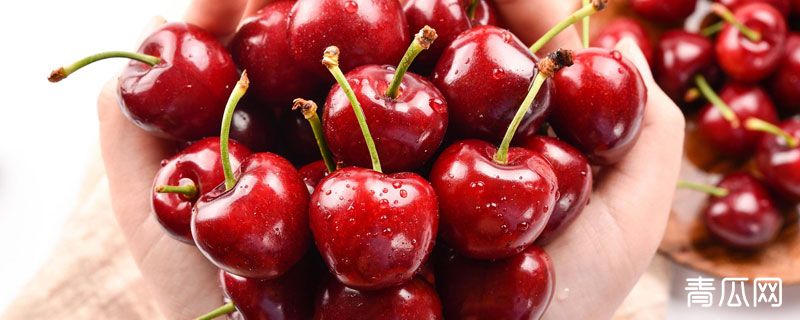 车厘子什么时候成熟