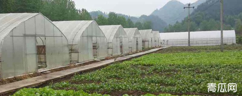 冷棚晚上怎么保温