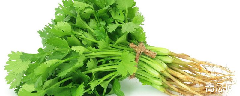 香菜须有什么作用