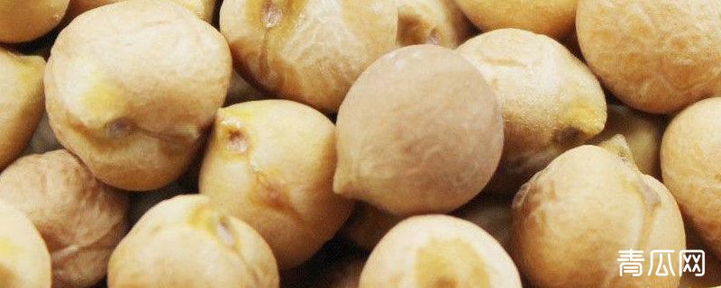 天麻豆与鹰嘴豆的区别