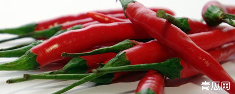 小泰椒的泡制方法