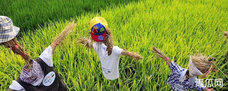 农科站属于什么单位