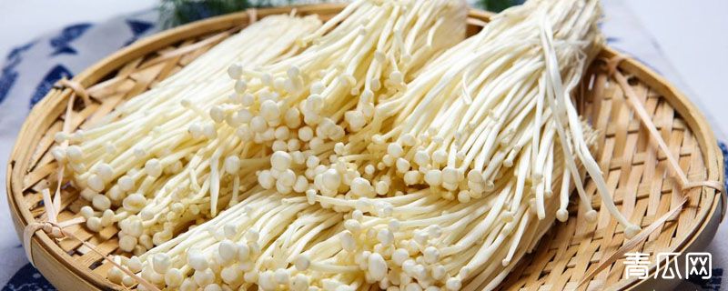 金针菇从哪里切掉