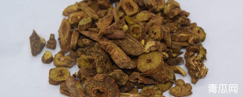 黄岑是不是大黄