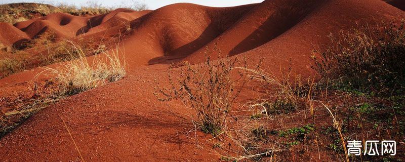 红壤对种植业的不利影响