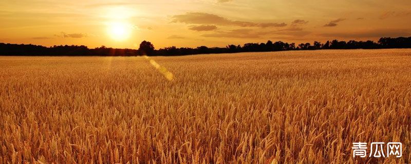 农业生产资料有哪些