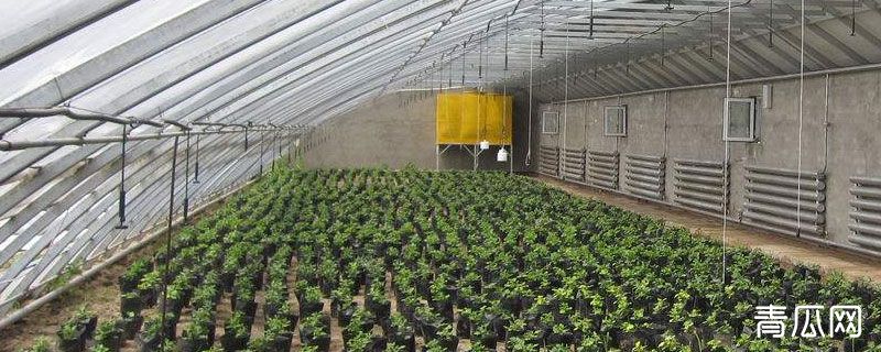 冷棚和暖棚的区别