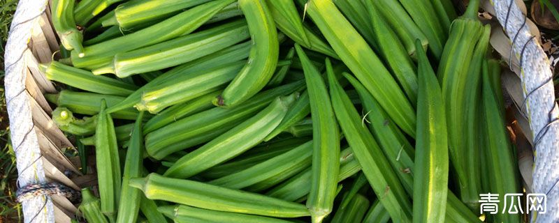 黄秋葵外面的毛怎么清洗