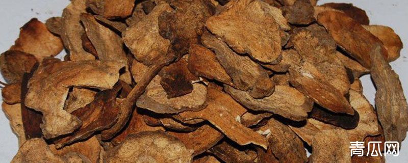 白术和炒白术的区别