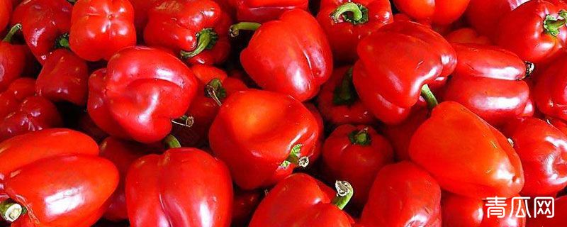 灯笼椒和青椒的区别