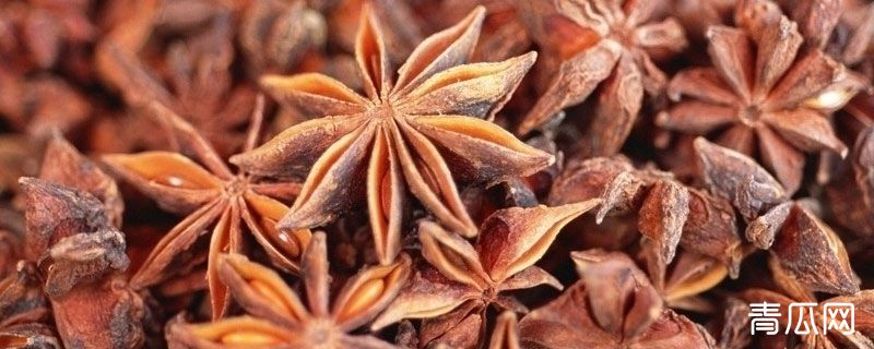 茴香和八角的区别