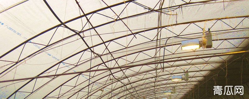 自制大棚补光灯