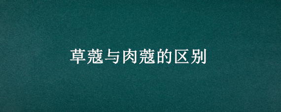 兰花种植方法注意事项