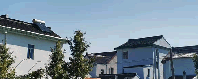 沙土地种植什么最赚钱