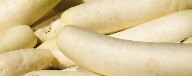 萝卜的种植方法和时间