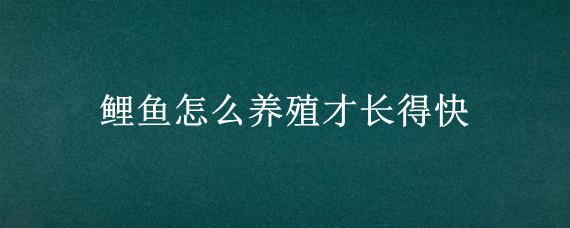 鲤鱼怎么养殖才长得快