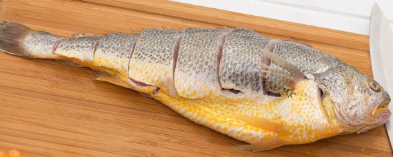 大黄鱼为什么那么贵